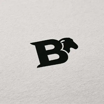Create a logo for a peptide company BLK Sheep. Its for men and women and the colors are black, #d5bdaf, #edede9. Use any